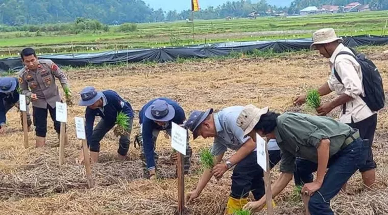 Demi Keberlanjutan Program Pertanian, Pemkab Pessel Bangun Kapasitas Petani Lewat SL