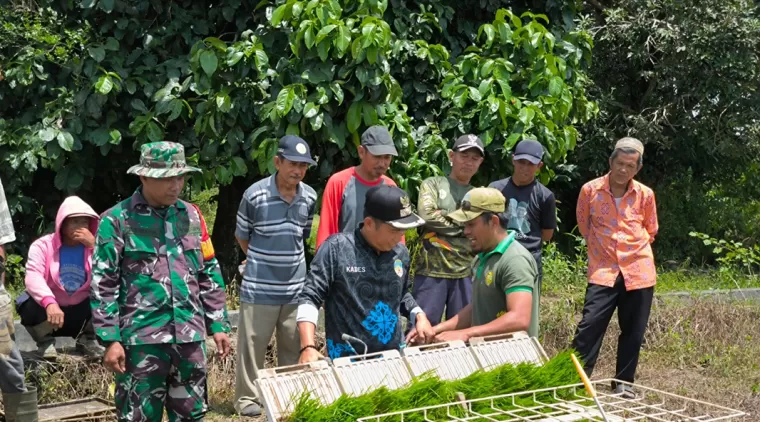 Dukung ketahanan pangan, Satgas TMMD Kodim 0914/TNT Bantu Petani Padi