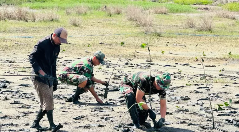 H   14, Satgas TMMD 122 Lakukan Penanaman Pohon Manggrove