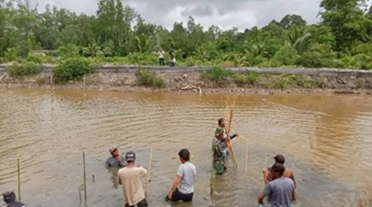 &quot;Menyatu Dengan Alam&quot; Penanaman Pohon Mangrove di Desa Bebatu TMMD 122