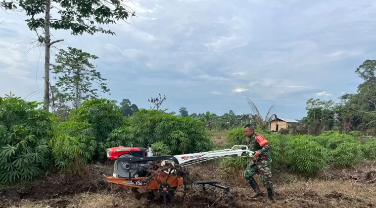 Pembajakan Sawah Untuk ketahanan Pangan Dilokasi TMMD