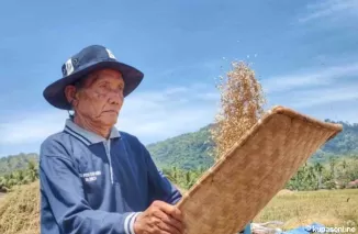 Berikan Hasil Panen Melimpah, Petani di Bayang Gunakan Metode MTOT