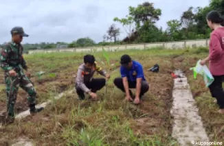 Bersinergi Mendukung kesiapan Ketahanan Pangan Dilokasi TMMD Kodim 0914/TNT