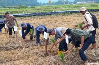 Demi Keberlanjutan Program Pertanian, Pemkab Pessel Bangun Kapasitas Petani Lewat SL