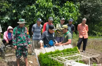 Dukung ketahanan pangan, Satgas TMMD Kodim 0914/TNT Bantu Petani Padi