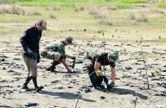 H + 14, Satgas TMMD 122 Lakukan Penanaman Pohon Manggrove