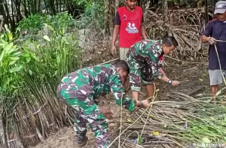 Satgas  TMMD 122 Kodim 0914/TNT Bersama warga Melaksanakan Penyortiran Pohon  Manggrove