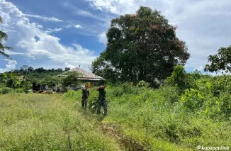 Satgas TMMD 122 KODIM 0914/TNT Melaksanakan Mobilisasi rehab RTLH Bapak Jimmy