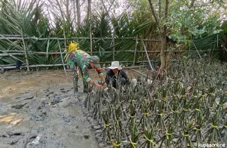 Satgas TMMD 122 Kodim 0914/TNT Melaksanakan Pendampingan Pembibitan Mangrove