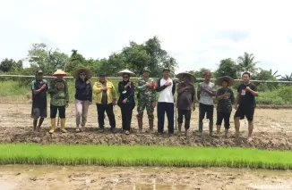 Satgas TMMD 122 Melaksanakan Pendampingan Sekolah Lapang Tanam Padi