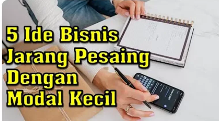 Ide Bisnis Baru yang Jarang Dikenal dan Sedikit Pesaing, Tapi Potensial Menguntungkan Yang Besar!