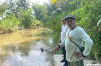 Pemprov Sumbar Distribusikan Ratusan Ribu Bibit Ikan Garing untuk Pemberdayaan Ekonomi Masyarakat