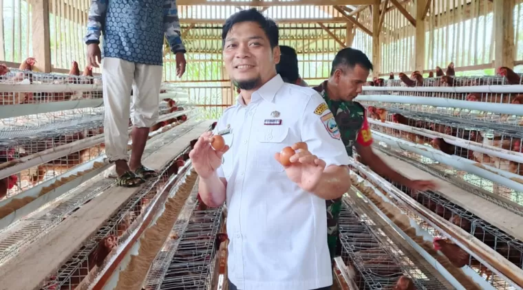 Camat Pasaman Kunjungi Kelompok Peternak Ayam Petelur di Nagari Aia Gadang Barat