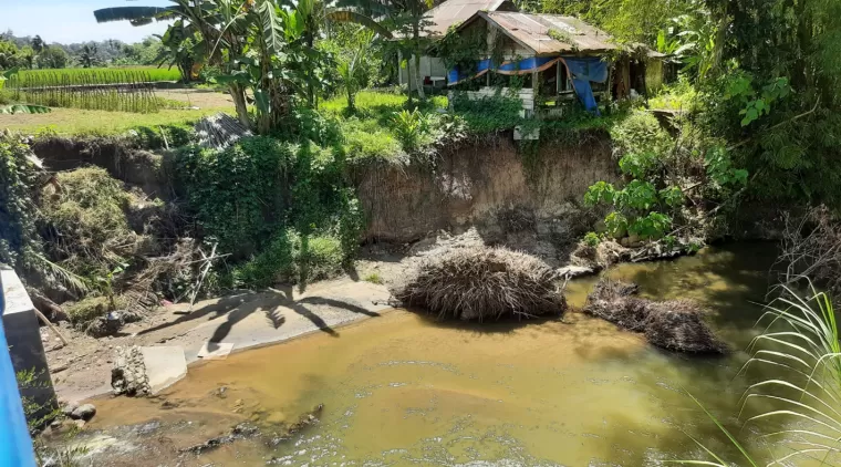 Kondisi Kerusakan Tebing Sungai Aliran Batang Piaman Cukup Memprihatinkan