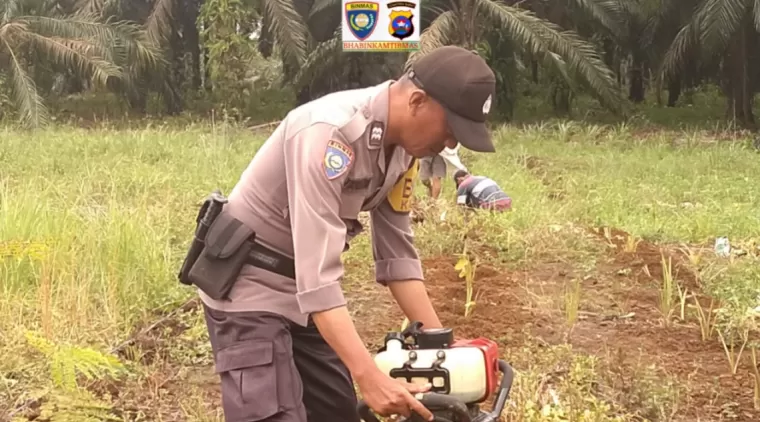 Polres Pasaman Barat Wujudkan Program Ketahanan Pangan Nasional, Polsek Kinali Rangkul Petani Talas di Nagari Koja