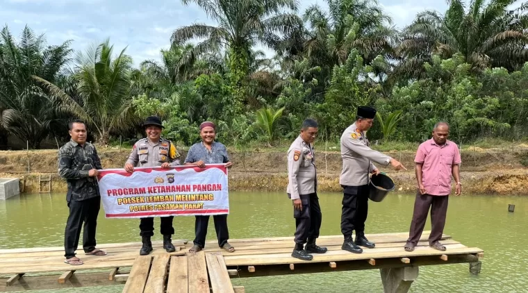 Polsek Lembah Melintang Lakukan Pendampingan Kelompok Budi Daya Pengembangan Ikan Air Tawar