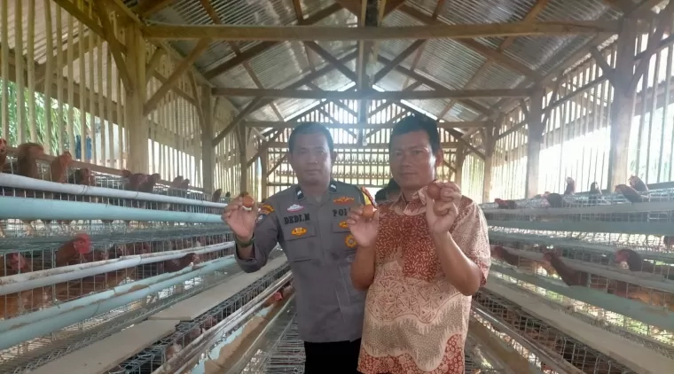 Polsek Pasaman Sambangi Kelompok Peternak Ayam Petelur di Nagari Aia Gadang Barat Dalam Program Ketahanan Pangan