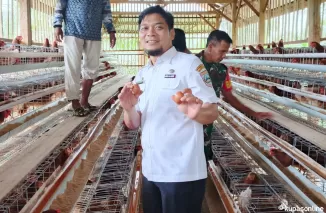 Camat Pasaman Kunjungi Kelompok Peternak Ayam Petelur di Nagari Aia Gadang Barat