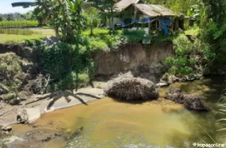 Kondisi Kerusakan Tebing Sungai Aliran Batang Piaman Cukup Memprihatinkan