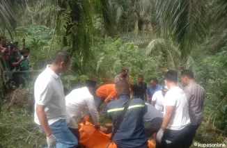 Penemuan Mayat di Perkebunan Sawit Hebohkan Warga Koto Ranah