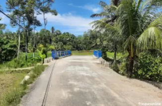 Jembatan Surau Gadang Tonggak, Dusun Sawah Aru Cubadak Mentawai yang sudah diperbaiki.(Trisnaldi).