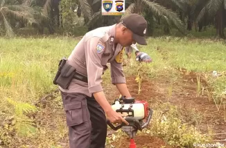 Polres Pasaman Barat Wujudkan Program Ketahanan Pangan Nasional, Polsek Kinali Rangkul Petani Talas di Nagari Koja