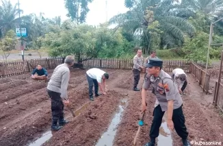 Polres Pasaman Barat Wujudkan Swasembada Pangan, Personel Tanam Benih Jagung di Halaman Mako Polsek Pasaman