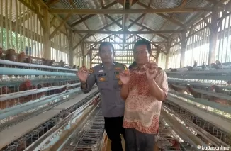 Polsek Pasaman Sambangi Kelompok Peternak Ayam Petelur di Nagari Aia Gadang Barat Dalam Program Ketahanan Pangan