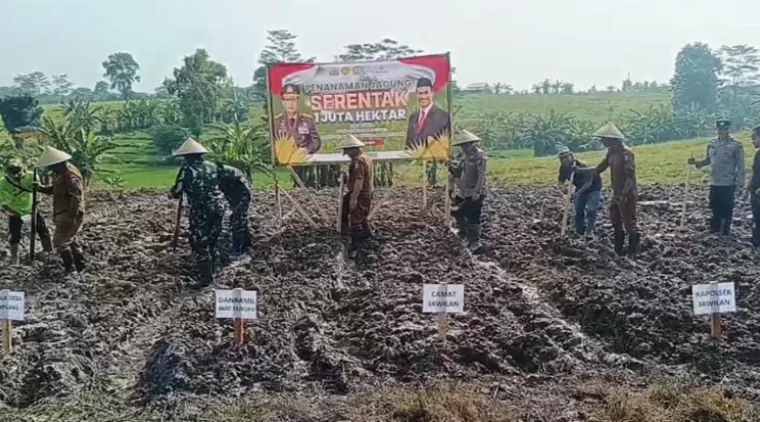 Dukung Ketahanan Pangan, Kapolsek Jawilan Bersama Petani Tanam Bibit Jagung Serentak