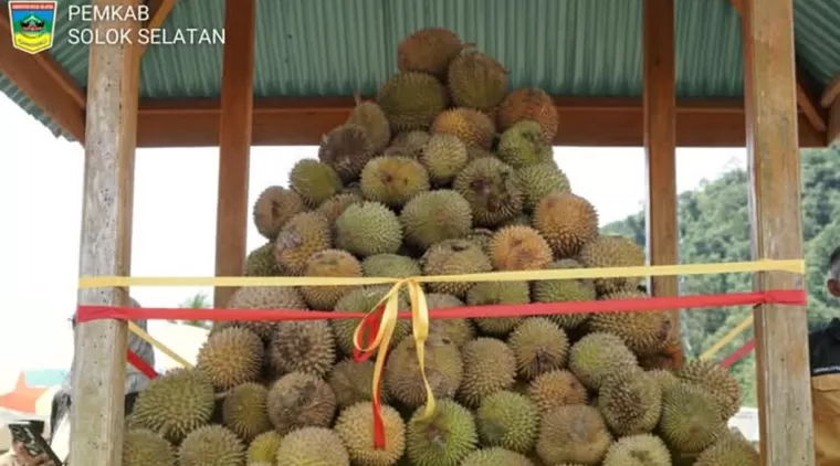 Festival Durian Solok Selatan 2025, Banyak Hadiah dan Makan Durian Gratis