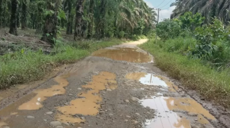 Jalan Bukit Ujan Lubuk Besar Menuju Kecamatan yang Terabaikan