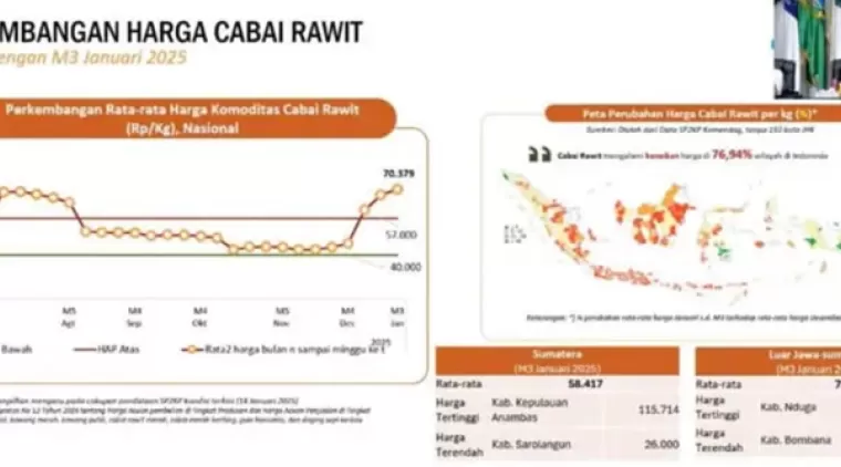 Komoditas Cabai Masih Menjadi Penyumbang Utama Kenaikan IPH pada Minggu Ke-3 Januari 2025