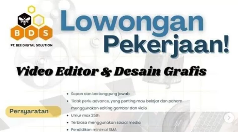 Lowongan Kerja Menarik di PT. Bee Digital Teknologi! Video Editor &amp; Desain Grafis dengan Gaji &amp; Benefit Menarik