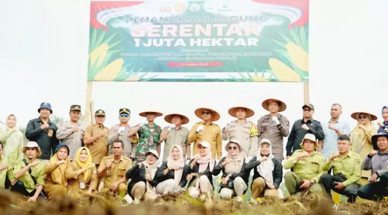 Mendukung Program Swasembada Pangan, Pemkab Solsel Tanam Seribu Hektar Jagung