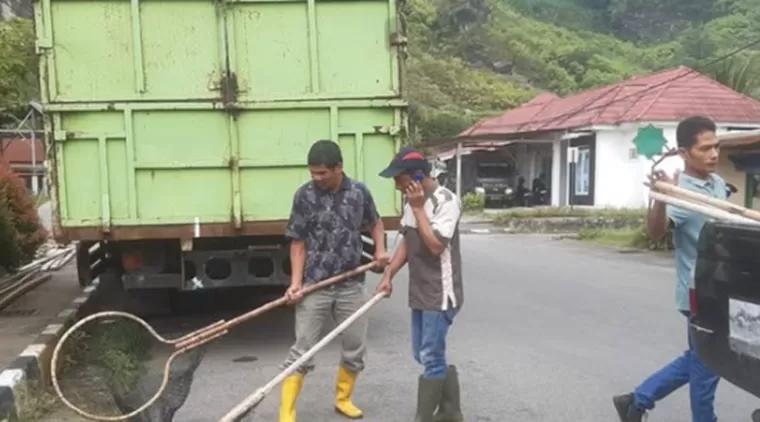 Pemko Padang Panjang Tertibkan Anjing Liar untuk Cegah Rabies dan Respon Keluhan Warga