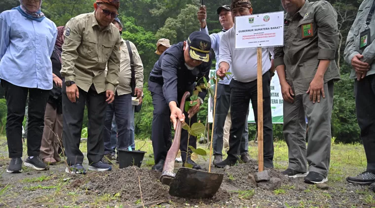 Pemprov Sumbar Galakkan Penanaman Pohon Serentak Demi Kelestarian Hutan