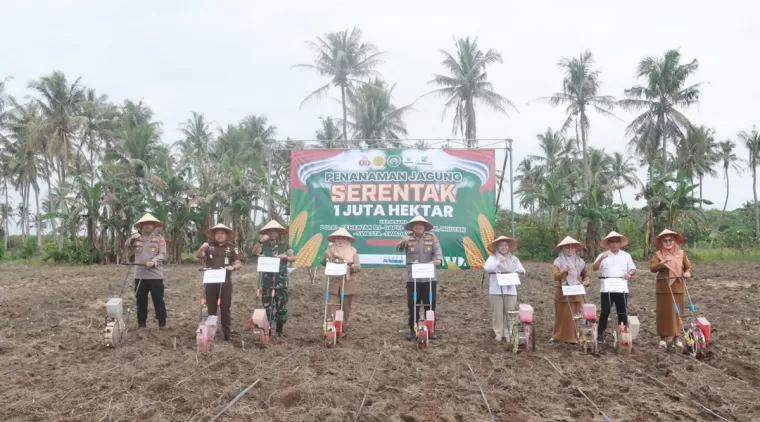 Penanaman Jagung 1 Juta Hektar Polres Lampung Selatan Untuk Dukung Swasembada di Way Urang Kalianda