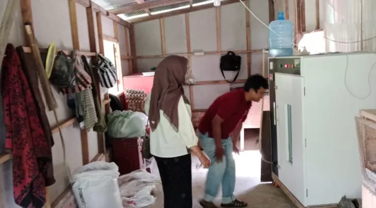 Saat Monev tim monitoring dari dinas Pertanian Pangan dan Perikanan Kota Pariaman ke Keltan Palapa di Desa Sikapak Timur Pariaman.