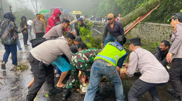 Personil Polres Tanah Karo Lakukan Pembersihan Pohon Tumbang di Jalan Berastagi-Medan