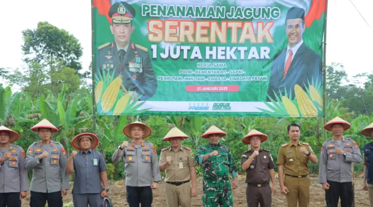 Polres Tanggamus Bersama Pemkab Dukung Ketahanan Pangan Nasional dengan Penanaman Jagung Serentak