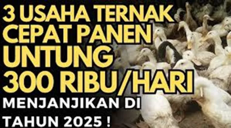 Ternak Ikan Gabus, Burung Walet, dan Bebek! Bisnis Cepat Panen dengan Untung Miliaran!