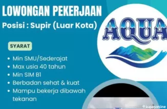 Dapatkan Pekerjaan Sekarang! PT Tina Dimans Raya Buka Lowongan Supir Hingga 8 Februari