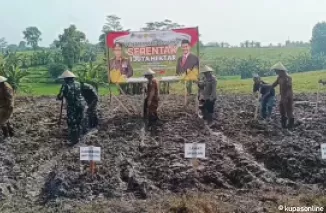 Dukung Ketahanan Pangan, Kapolsek Jawilan Bersama Petani Tanam Bibit Jagung Serentak