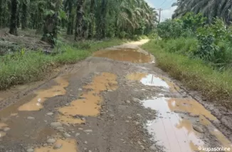 Jalan Bukit Ujan Lubuk Besar Menuju Kecamatan yang Terabaikan