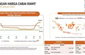 Komoditas Cabai Masih Menjadi Penyumbang Utama Kenaikan IPH pada Minggu Ke-3 Januari 2025