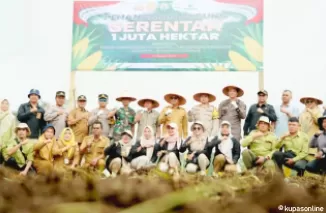 Mendukung Program Swasembada Pangan, Pemkab Solsel Tanam Seribu Hektar Jagung