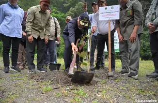 Pemprov Sumbar Galakkan Penanaman Pohon Serentak Demi Kelestarian Hutan