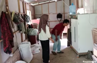 Saat Monev tim monitoring dari dinas Pertanian Pangan dan Perikanan Kota Pariaman ke Keltan Palapa di Desa Sikapak Timur Pariaman.