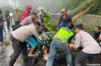 Personil Polres Tanah Karo Lakukan Pembersihan Pohon Tumbang di Jalan Berastagi-Medan