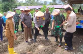 Unsur Forkopimda Limapuluh Kota Dukung Penuh Sukseskan Swasembada Panganm tanam jagung di lahan pertanian jagung, di nagari Pangkalan, Selasa, 21 Januari 2025.